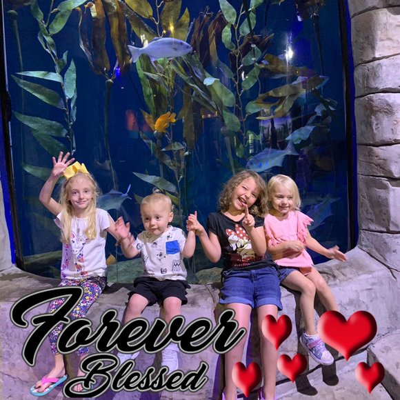 Meet your Posher, Joshua - Picture 1 of 1